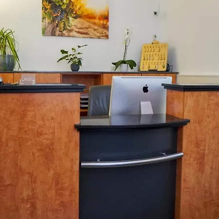 & Restaurant Tanne 호텔 2*