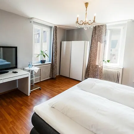 호텔 & Restaurant Tanne 피스친겐