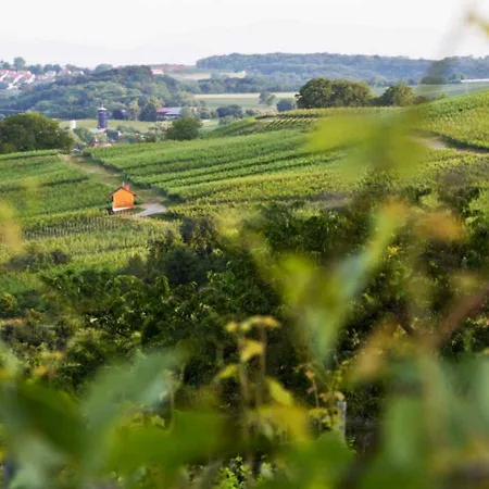 호텔 & Restaurant Tanne